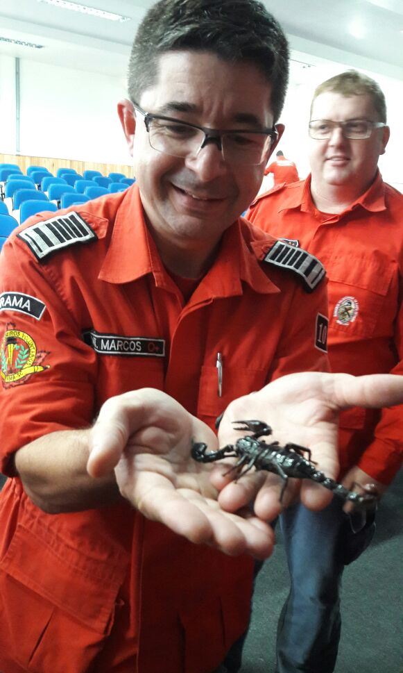 IBIRAMA Bombeiros Voluntários recebem capacitação sobre animais peçonhentos 0